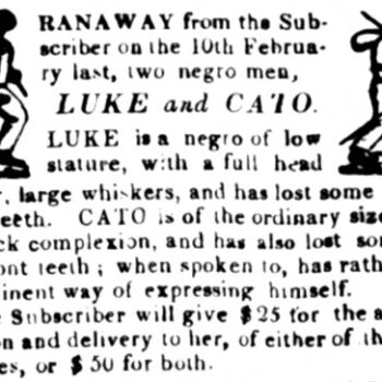 Runaway slave ad for "Luke and Cato"