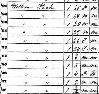 This portion of the 1850 federal census slave schedule lists the people that William Peck enslaved, their ages, male or female, and a racial distinction of “M” meaning “mulatto” or “B” for “Black.”