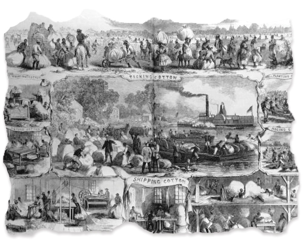 Illustration of nineteenth century cotton industry